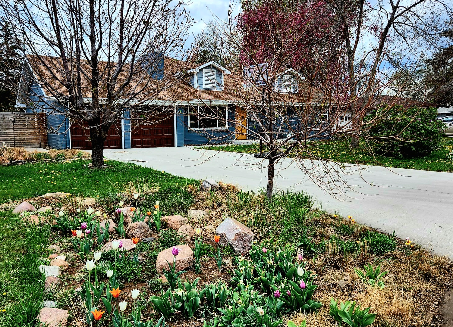 Property thumbnail image